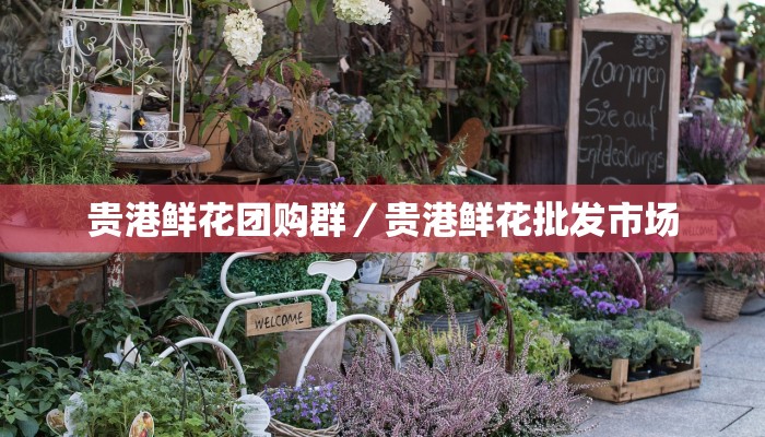 贵港鲜花团购群／贵港鲜花批发市场