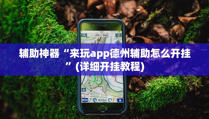 辅助神器“来玩app德州辅助怎么开挂”(详细开挂教程)