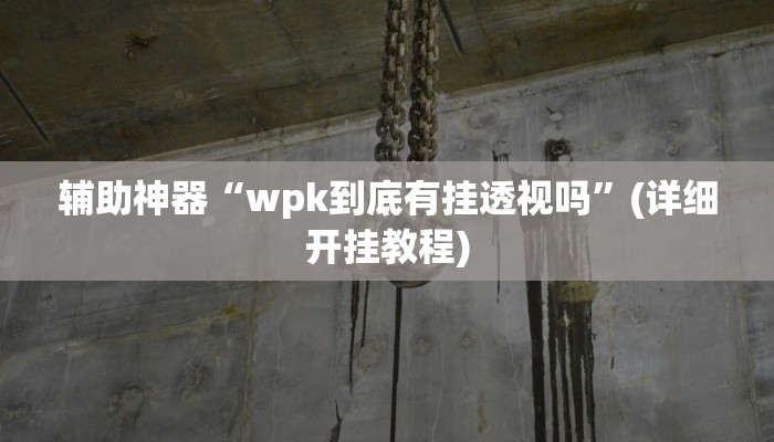 辅助神器“微信决胜麻将小程序开挂神器软件下载”其实确实有挂