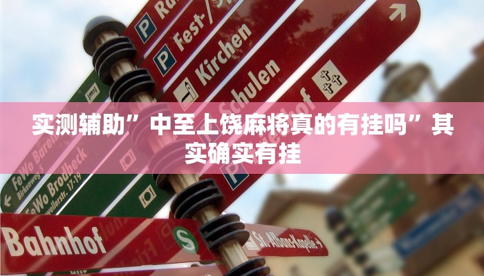 实测辅助”中至上饶麻将真的有挂吗”其实确实有挂