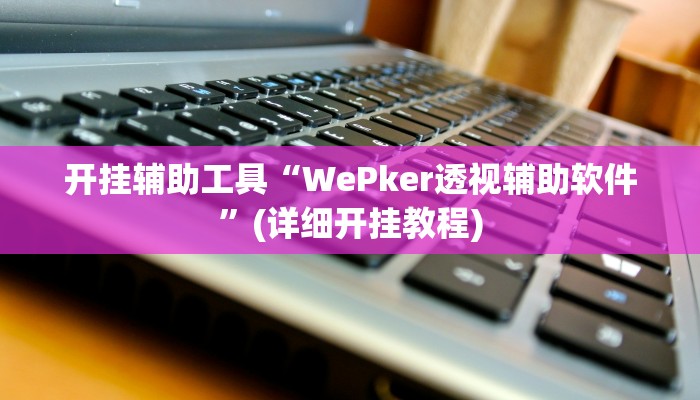 开挂辅助工具“WePker透视辅助软件”(详细开挂教程)