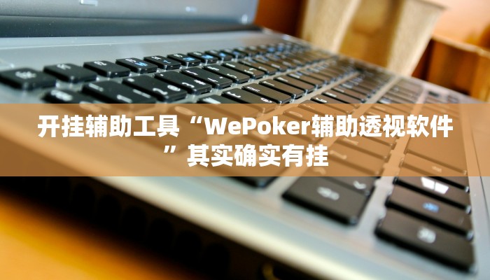 开挂辅助工具“WePoker辅助透视软件”其实确实有挂