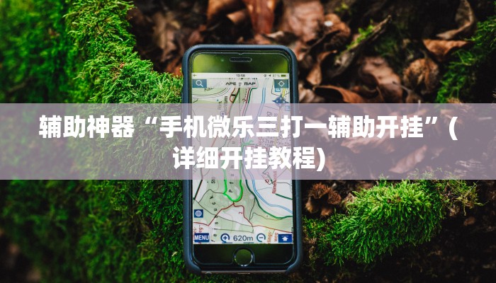 辅助神器“手机微乐三打一辅助开挂”(详细开挂教程)