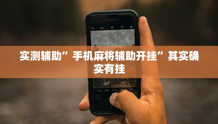 实测辅助”手机麻将辅助开挂”其实确实有挂