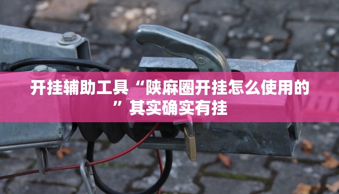 开挂辅助工具“陕麻圈开挂怎么使用的”其实确实有挂
