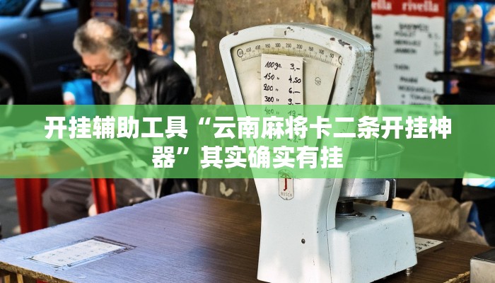 开挂辅助工具“云南麻将卡二条开挂神器”其实确实有挂