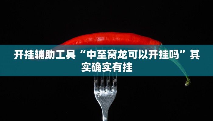 开挂辅助工具“中至窝龙可以开挂吗”其实确实有挂