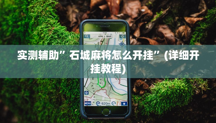 实测辅助”石城麻将怎么开挂”(详细开挂教程)