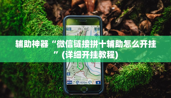 辅助神器“微信链接拼十辅助怎么开挂”(详细开挂教程)