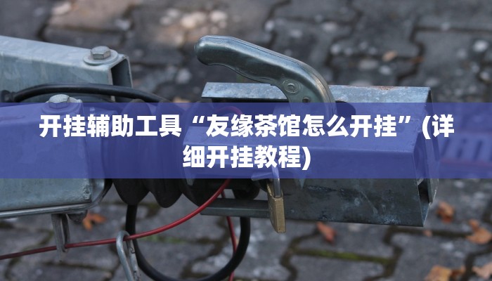 辅助神器“大头大菠萝有挂吗”(详细开挂教程)