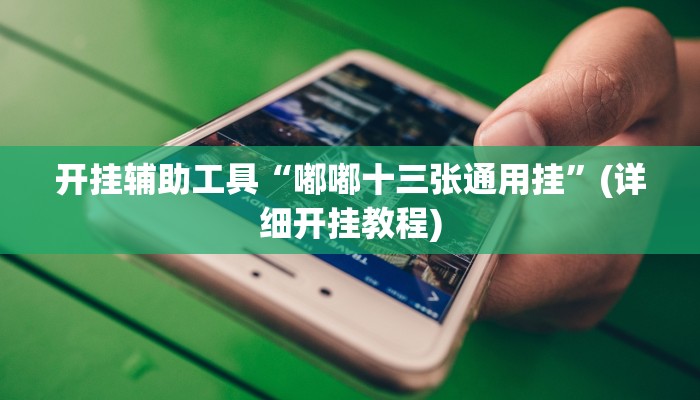 开挂辅助工具“嘟嘟十三张通用挂”(详细开挂教程)