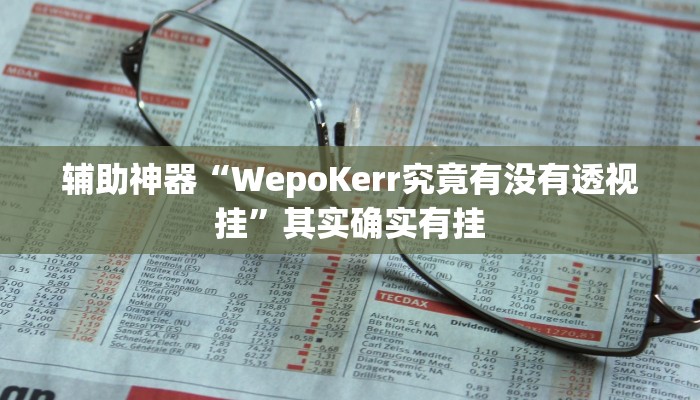 辅助神器“WepoKerr究竟有没有透视挂”其实确实有挂