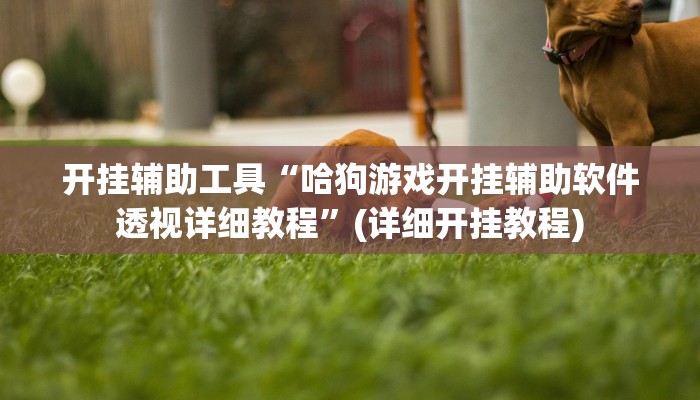 开挂辅助工具“哈狗游戏开挂辅助软件透视详细教程”(详细开挂教程)
