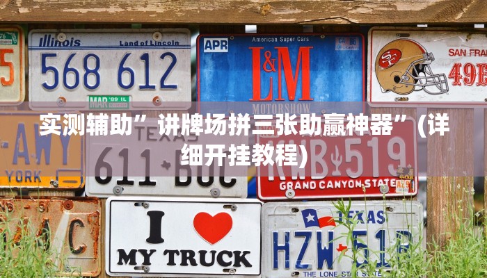实测辅助”讲牌场拼三张助赢神器”(详细开挂教程)