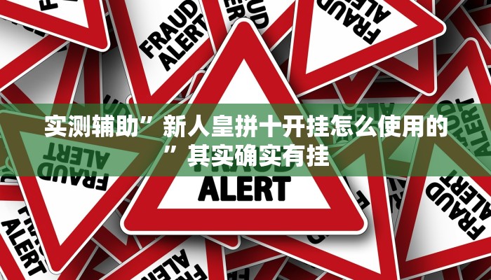 实测辅助”新人皇拼十开挂怎么使用的”其实确实有挂
