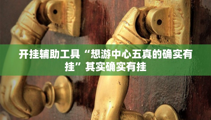 实测辅助”左右棋牌开挂神器软件下载”其实确实有挂