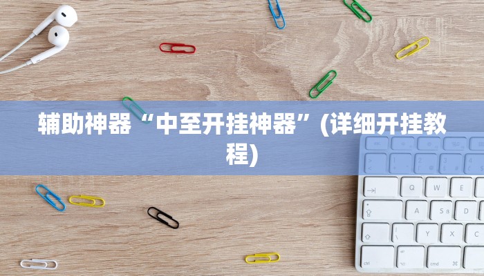 辅助神器“中至开挂神器”(详细开挂教程)