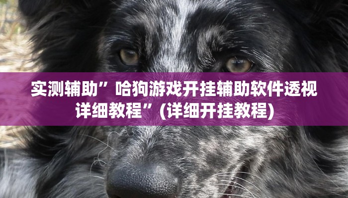 实测辅助”哈狗游戏开挂辅助软件透视详细教程”(详细开挂教程)