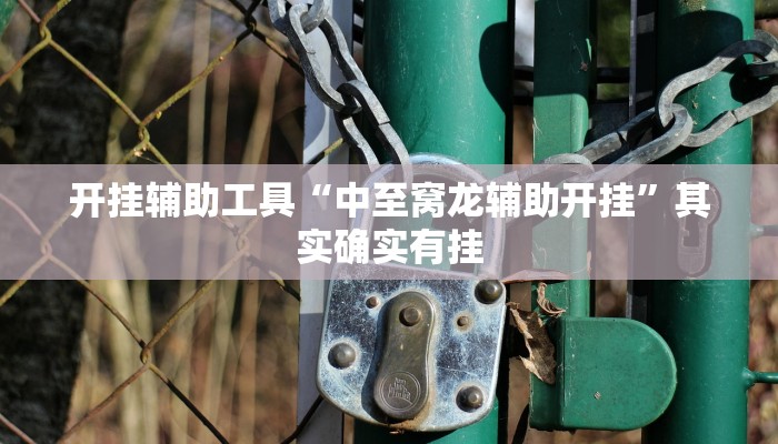 开挂辅助工具“中至窝龙辅助开挂”其实确实有挂