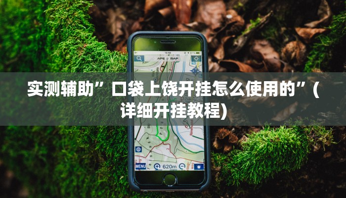 实测辅助”口袋上饶开挂怎么使用的”(详细开挂教程)