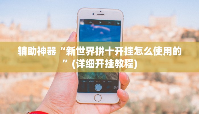 辅助神器“新世界拼十开挂怎么使用的”(详细开挂教程)