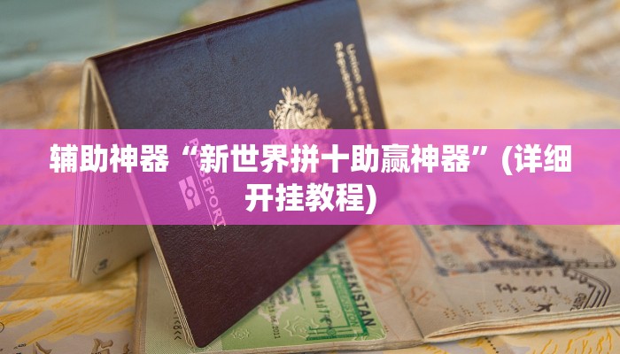 辅助神器“新世界拼十助赢神器”(详细开挂教程)