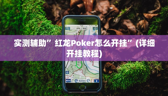 实测辅助”红龙Poker怎么开挂”(详细开挂教程)