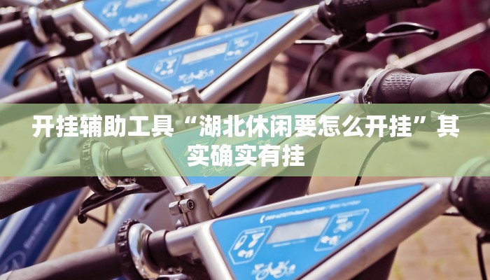 开挂辅助工具“湖北休闲要怎么开挂”其实确实有挂