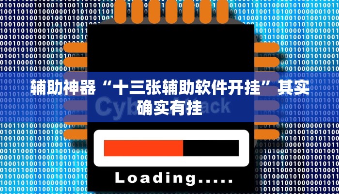 辅助神器“十三张辅助软件开挂”其实确实有挂