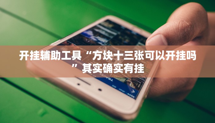 开挂辅助工具“方块十三张可以开挂吗”其实确实有挂