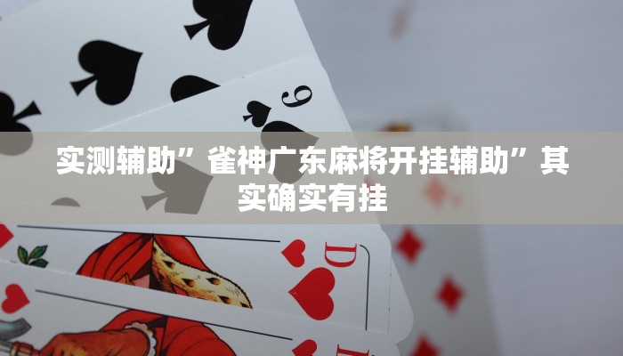 实测辅助”雀神广东麻将开挂辅助”其实确实有挂
