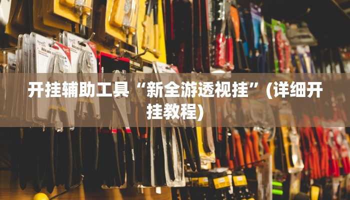 开挂辅助工具“新全游透视挂”(详细开挂教程)