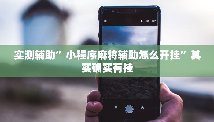 实测辅助”小程序麻将辅助怎么开挂”其实确实有挂