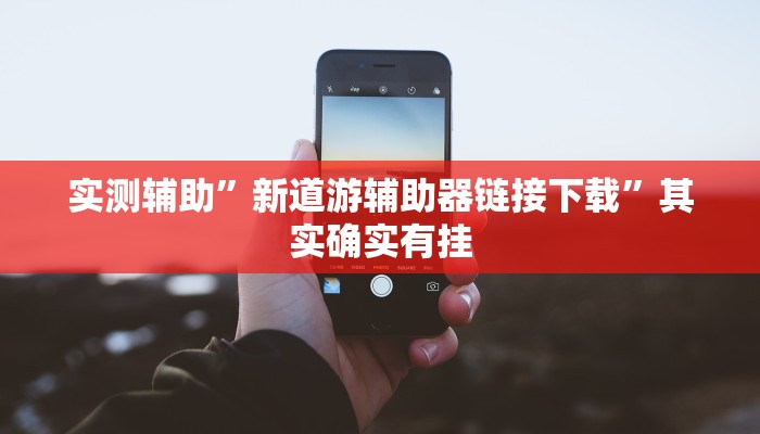 实测辅助”新道游辅助器链接下载”其实确实有挂