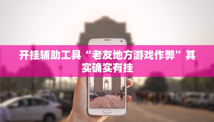 开挂辅助工具“老友地方游戏作弊”其实确实有挂