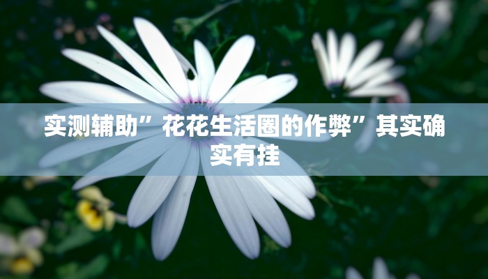 实测辅助”花花生活圈的作弊”其实确实有挂