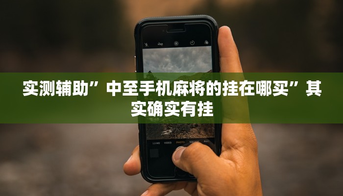 实测辅助”中至手机麻将的挂在哪买”其实确实有挂