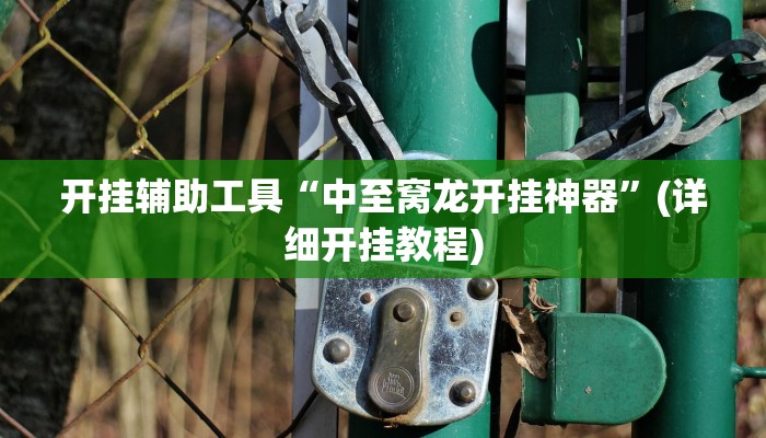 开挂辅助工具“中至窝龙开挂神器”(详细开挂教程)