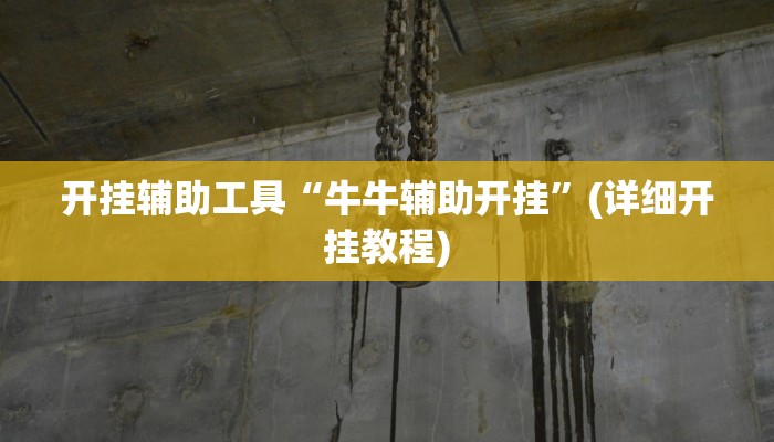 开挂辅助工具“牛牛辅助开挂”(详细开挂教程)