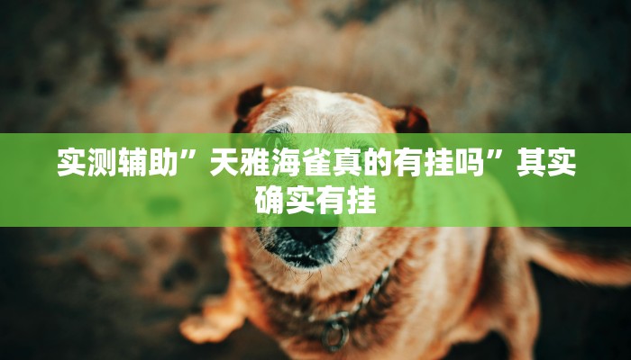 实测辅助”天雅海雀真的有挂吗”其实确实有挂