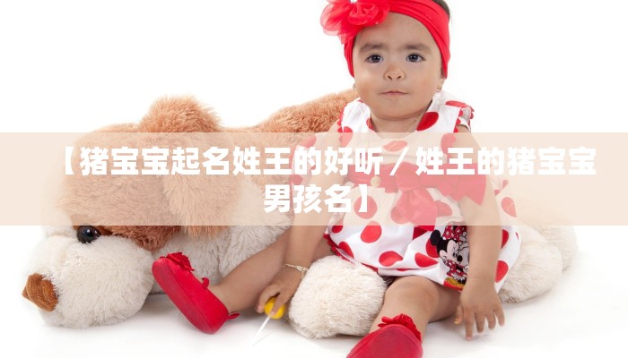 【猪宝宝起名姓王的好听／姓王的猪宝宝男孩名】