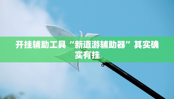 开挂辅助工具“新道游辅助器”其实确实有挂