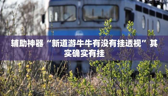 辅助神器“新道游牛牛有没有挂透视”其实确实有挂